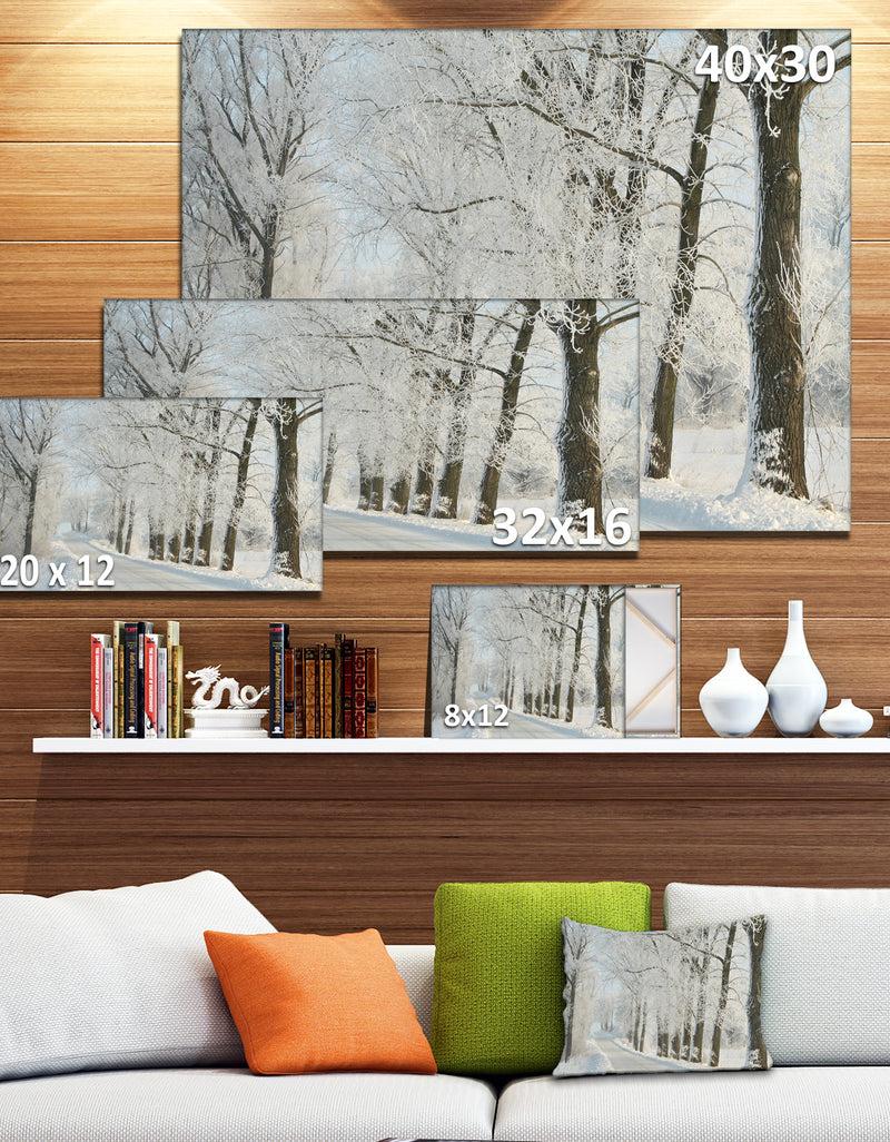 DesignQ Winter Road In Dense Foggy Forest - Large Forest Artwork Canvas