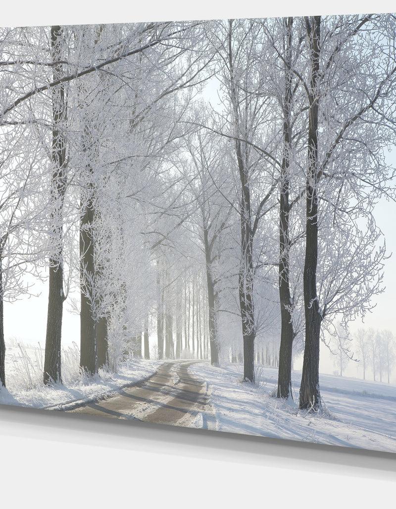 DesignQ Winter Rural Road In The Morning - Large Forest Artwork Canvas