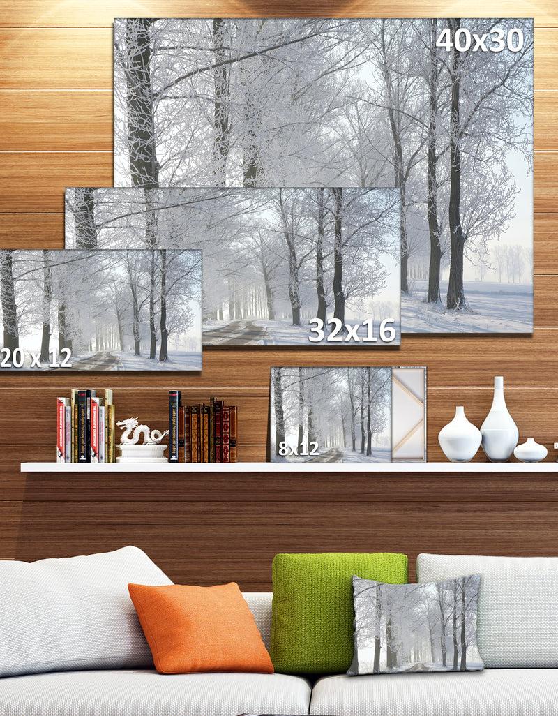 DesignQ Winter Rural Road In The Morning - Large Forest Artwork Canvas