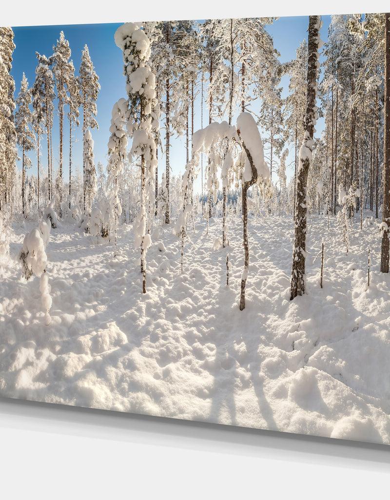 DesignQ Winter Snow Covered Wood - Modern Landscpae Wall Art