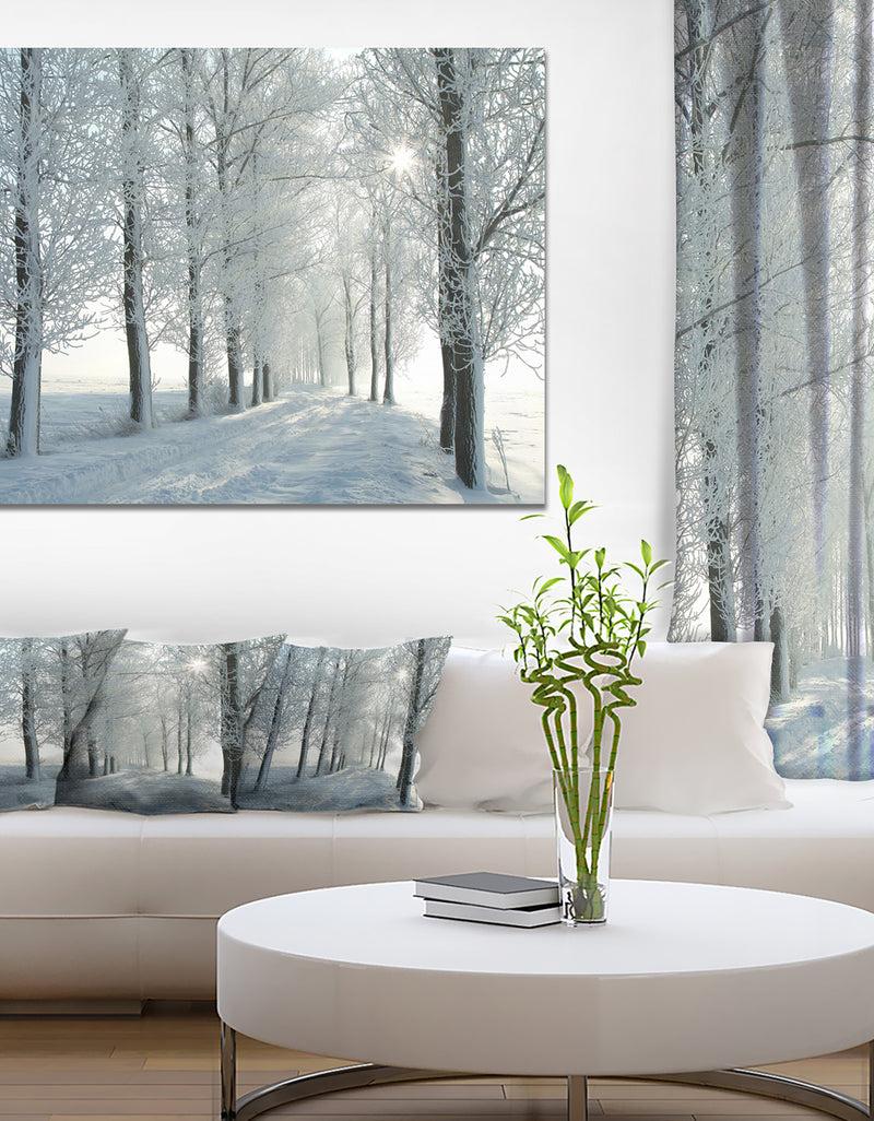 DesignQ Winter Trees Backlit by Morning Sun - Large Forest Artwork Canvas