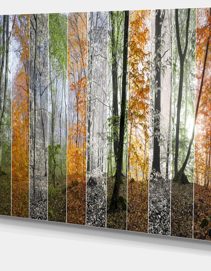DesignQ Wood Panorama Changing Seasons - Large Landscape Canvas Art Print