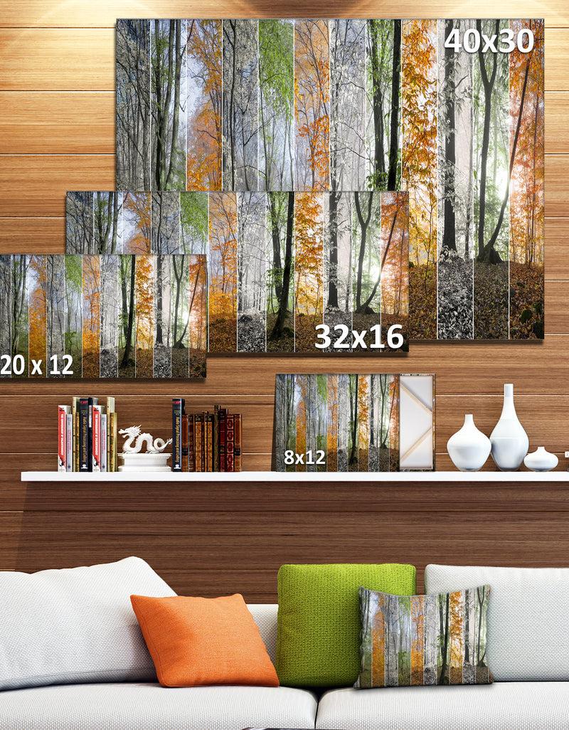 DesignQ Wood Panorama Changing Seasons - Large Landscape Canvas Art Print