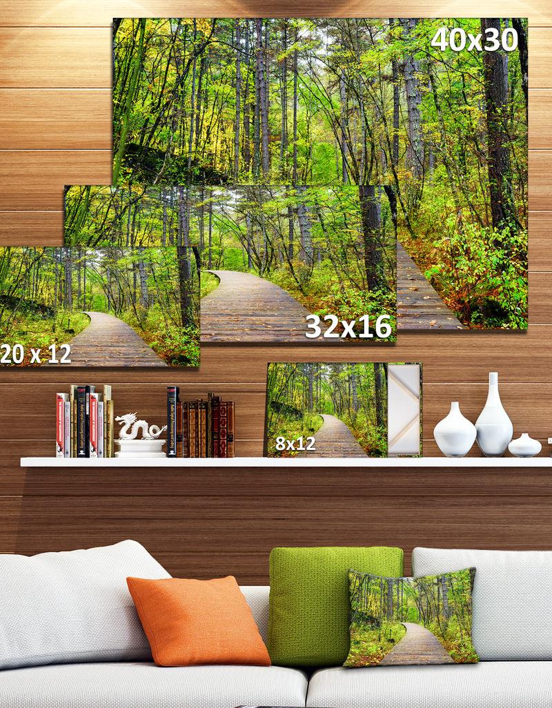 DesignQ Wooden Boardwalk Across Forest - Landscape Wall Artwork