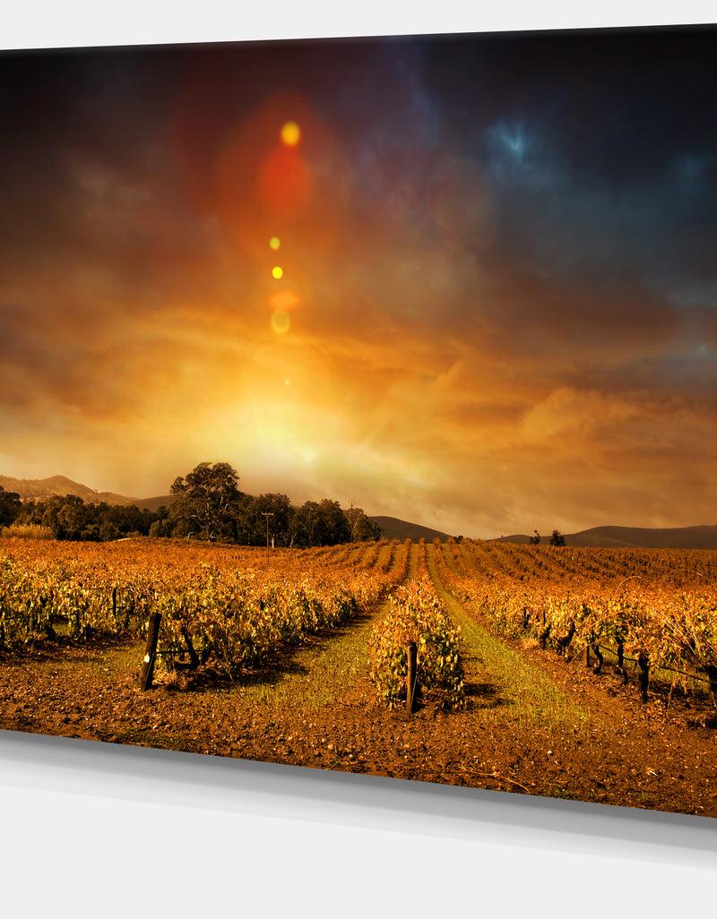 DesignQ Yellow Autumn Vineyard Sunset - Landscape Artwork Canvas