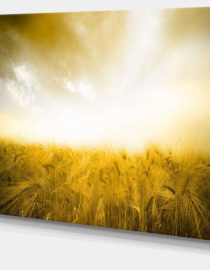 DesignQ Yellow Meadow Under Bright Sun - Extra Large Landscape Canvas Art Print