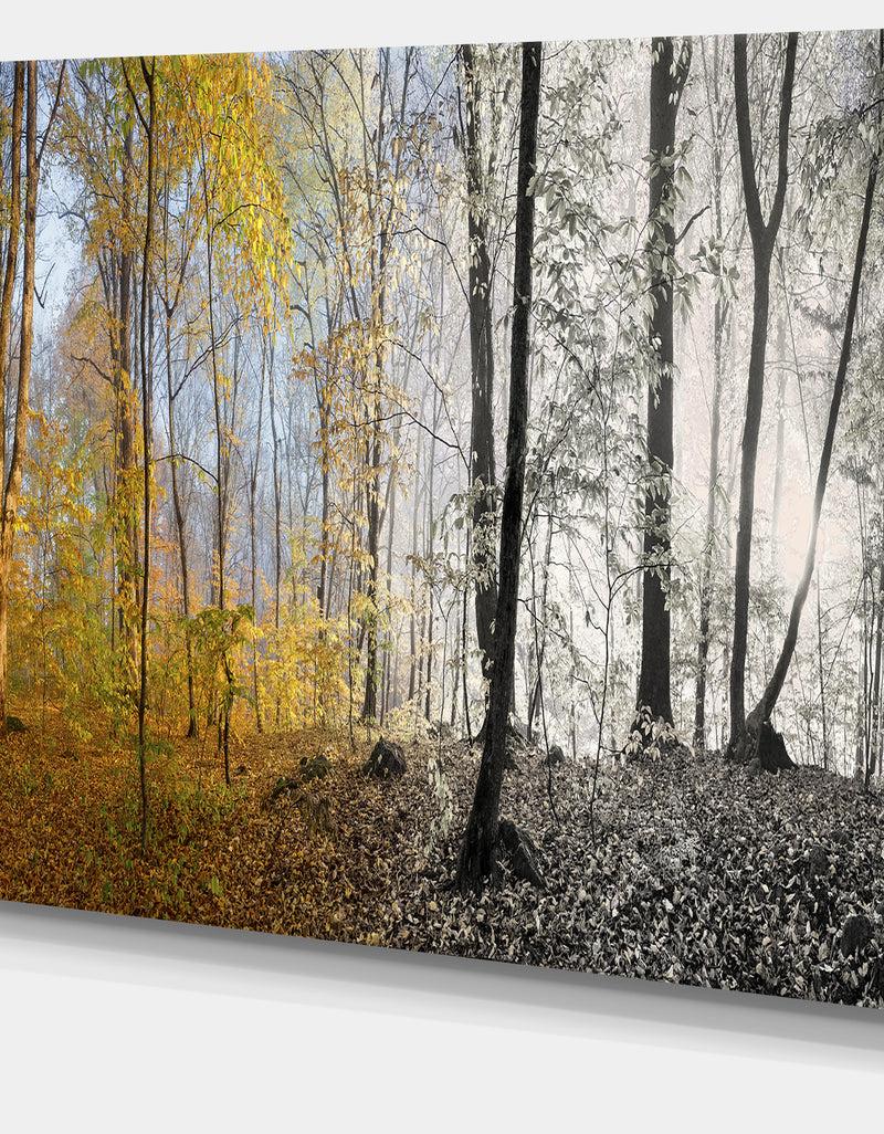 DesignQ Yellow Morning In Forest Panorama - Landscape Large Canvas Art Print