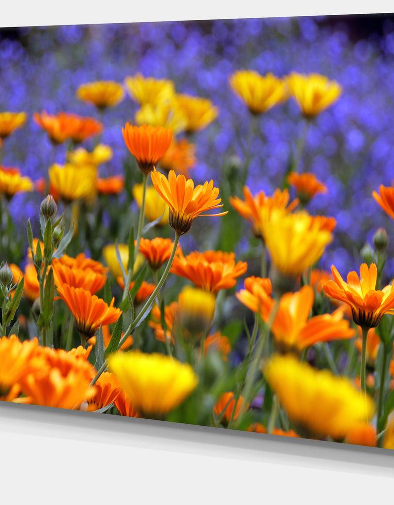 DesignQ Yellow Orange Flower Garden - Extra Large Floral Canvas Art