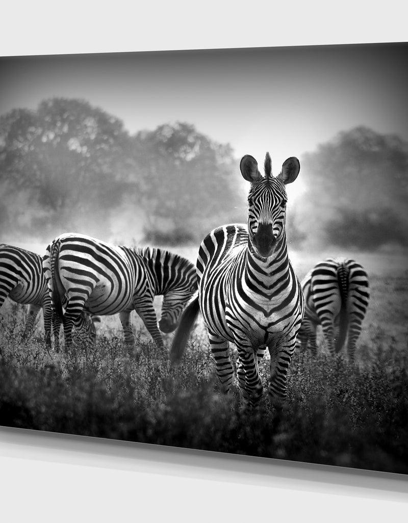 DesignQ Zebra In Black And White - Africa Animals Photography On Wrapped Canvas