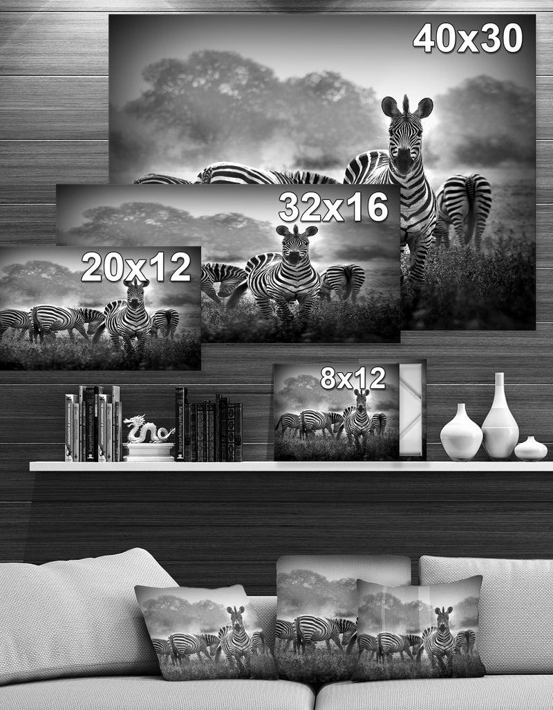 DesignQ Zebra In Black And White - Africa Animals Photography On Wrapped Canvas