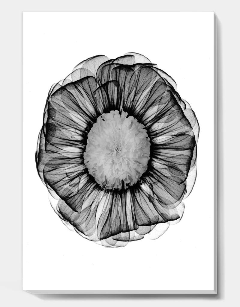 DesignQ Zinnia Montage Black & White X-Ray - Cottage Canvas Art Print